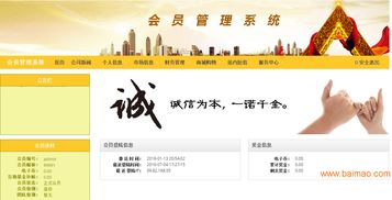山东直销软件的开发之道 定制化与移动化驱动企业高效管理